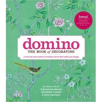 [domino book cover[3].jpg]