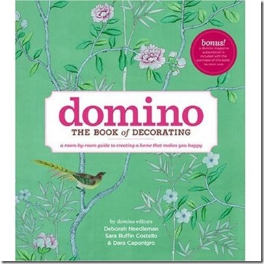 domino book cover