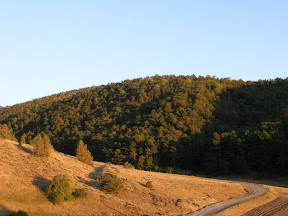 DSCF3722.jpg