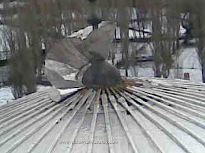 Image00050.jpeg