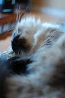 DSC_0109.JPG