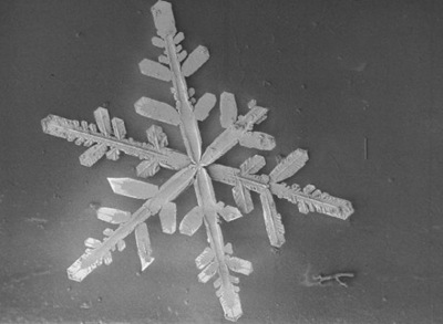microscopic-snowflakes-1-576x464