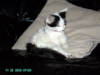 PICT0188.JPG