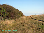 PICT0171.JPG