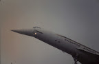 9-23-2010_045.JPG