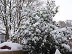 DSCF7734.JPG