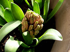 DSCF8062.JPG