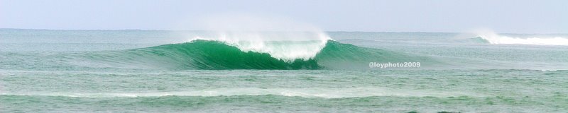 [IMG_8045.JPG]