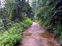 IMG_0105.JPG (Peretak, Malaysia) Photo