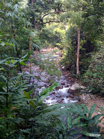 IMG_0103.JPG (Peretak, Malaysia) Photo