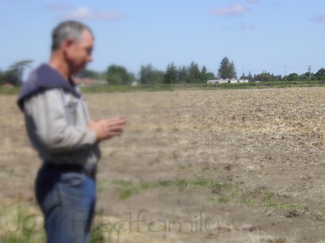 [afarmerandhisfield3.jpg]