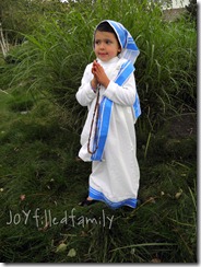 mother teresa profile joy