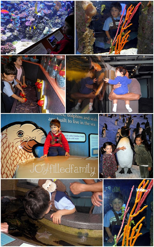 mb kids