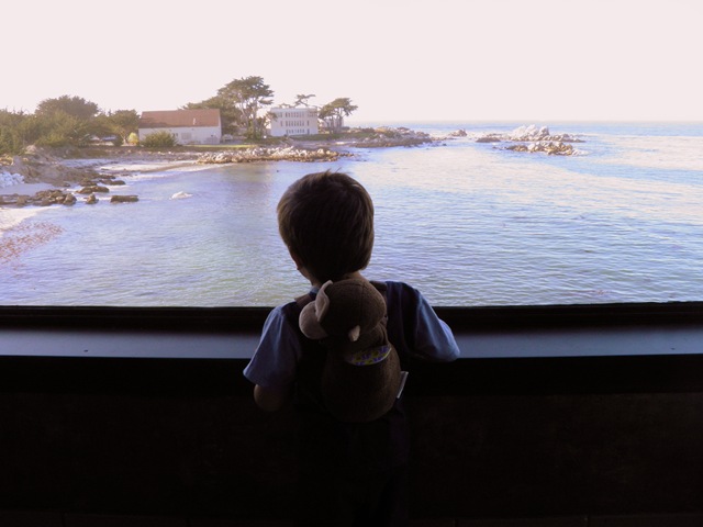 [papioverlookingtheocean4.jpg]