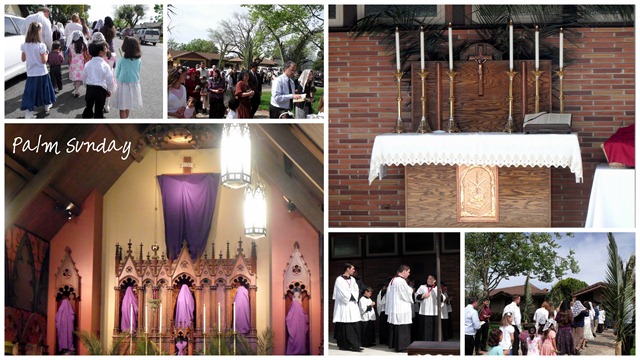 [palm sunday[5].jpg]