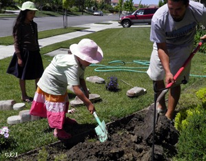 gardening with dad