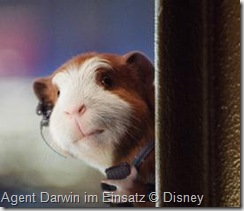 G-FORCE-DARWIN G-FORCE-DARWIN