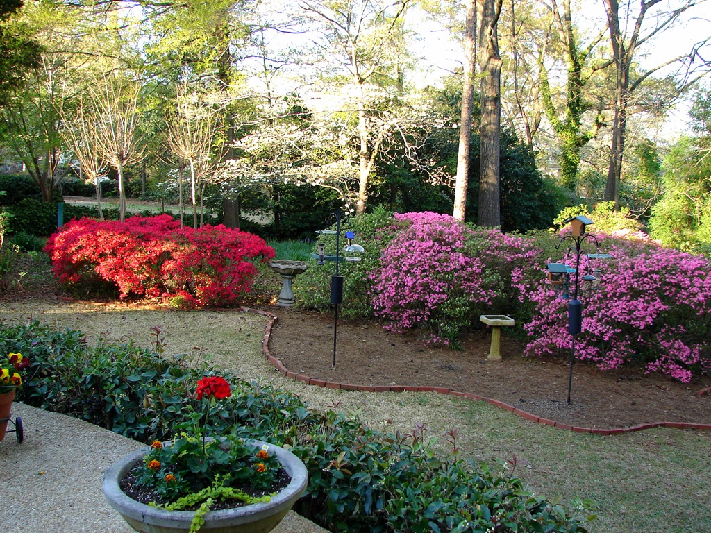 [View from back porch[3].jpg]
