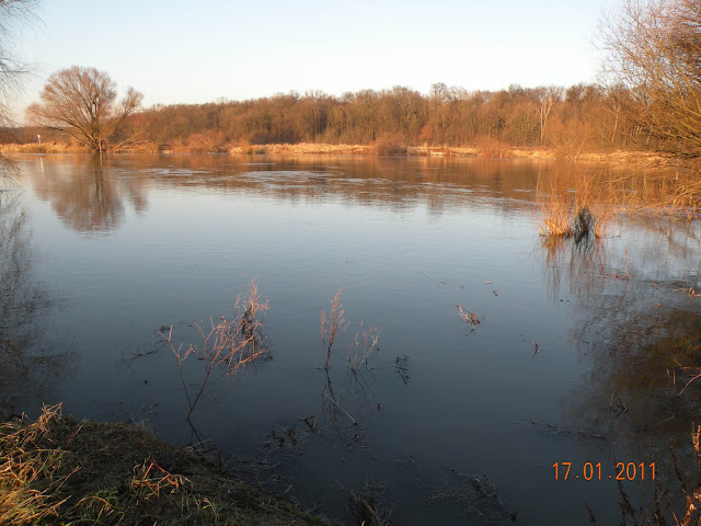DSCN2541.JPG