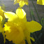 IMG_0436.JPG