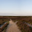 Rhinefield_panorama.jpg