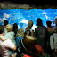 IMG_1466 IMG_1466