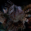 IMG_1577 IMG_1577