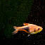 IMG_1666