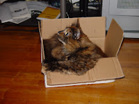 DSC04953.JPG