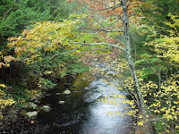 Overlooking the water on one of the trail bridges.
