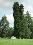 DSC04862.JPG