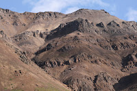 IMG_1053.jpg