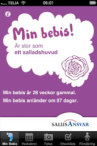 Datering ultraljud vid 9 veckor nivå 2