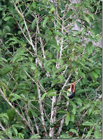 IMG_1660 IMG_1660