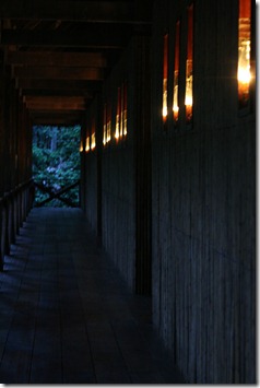 IMG_2104 IMG_2104