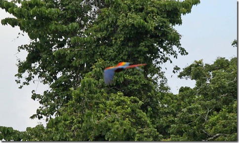sIMG_2254 sIMG_2254