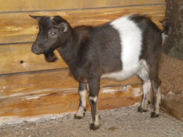 DSCN1218.JPG