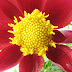 Mussorie 229.jpg