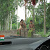 Mussorie 011.jpg