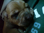 DSC00199.JPG