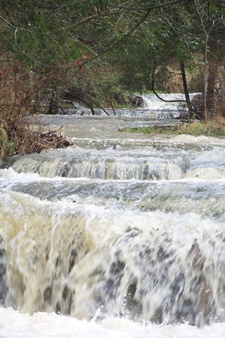 [creek5[5].jpg]
