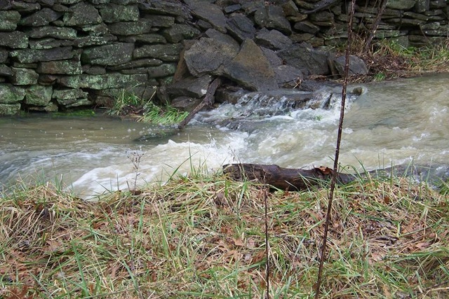 [creek[4].jpg]