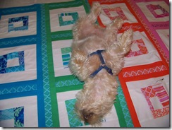 maggie on quilt 5