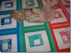 maggie on quilt 3