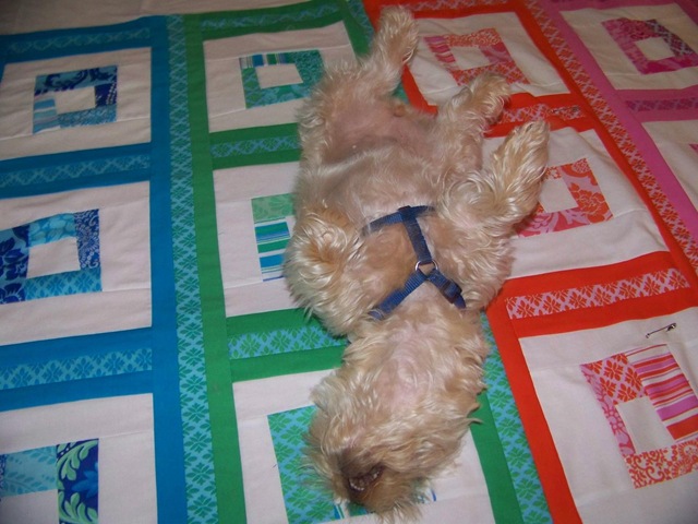 [maggie on quilt 5[2].jpg]