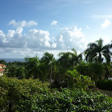 Domicican Rep. Flora Feb 2010