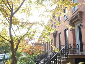  Eco Brooklyn revolutionizes NY construction