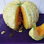 Rockmelon 'Prescott Fond Blanc' Seeds