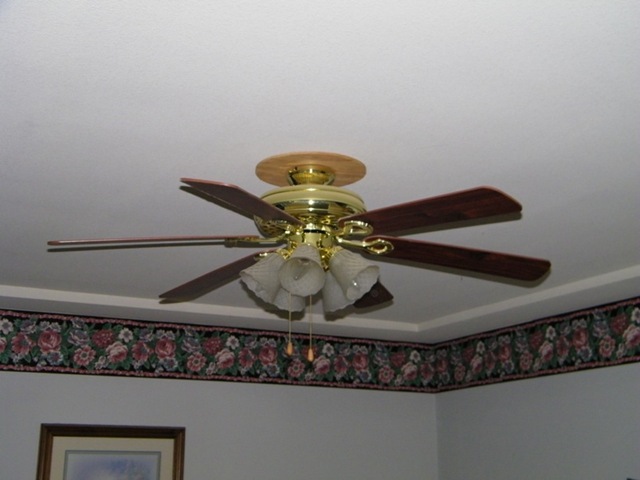 [102_0129a[2].jpg]