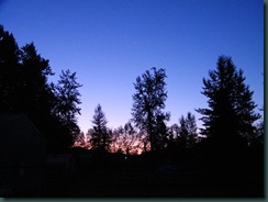 102_0613a